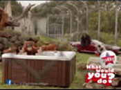 Lotto Monkey
