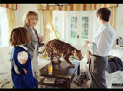 Schweppes Pet