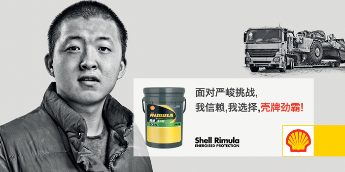Shell Rimula China